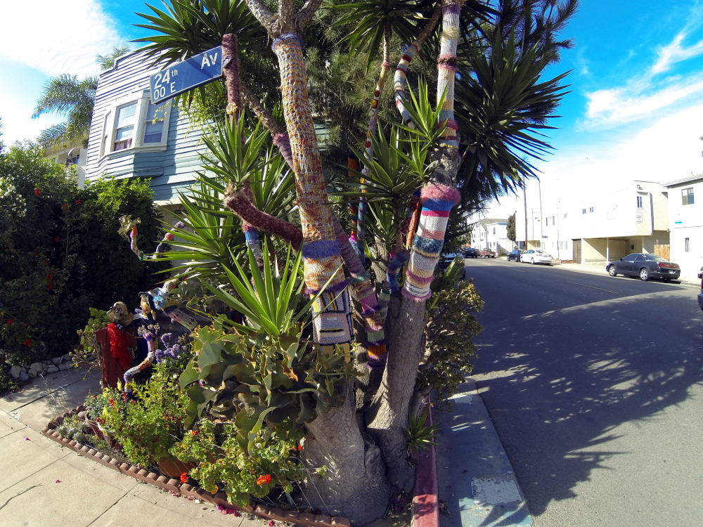 Exploring Venice Beach, CA