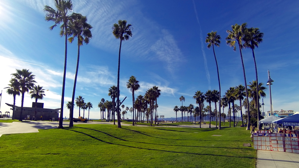 Exploring Venice Beach, CA